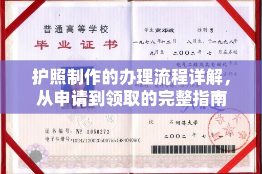 洞口护照制作的办理流程详解，从申请到领取的完整指南